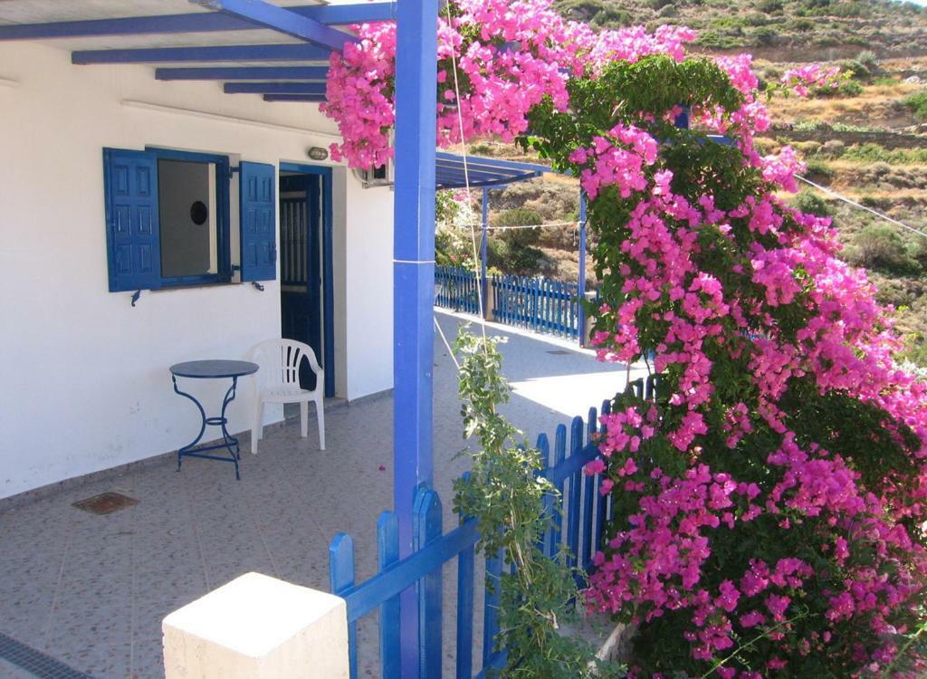 Villa Costa Studios Vathi  Exterior foto
