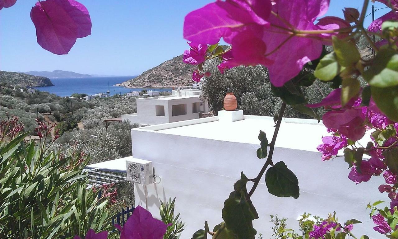 Villa Costa Studios Vathi  Exterior foto